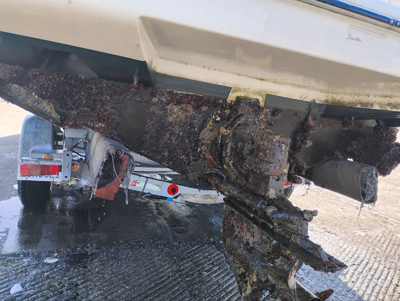 Boat bottom before cleaning - heavy barnacle and marine growth buildup